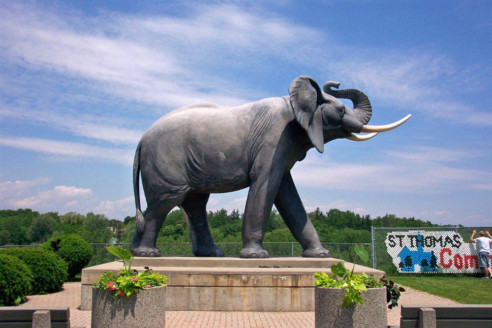 5 Gajah Paling Terkenal dalam Sejarah, Simbol Kebijakan dan Kekuatan