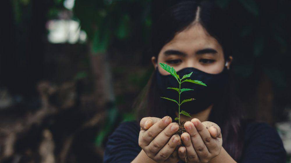 Ilustrasi bibit tanaman subur (pexels.com/Nothing Ahead)