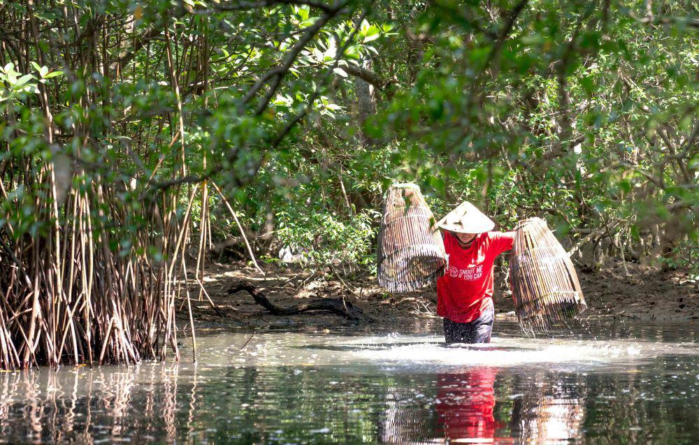 ilustrasi nelayan budidaya ikan bandeng di hutan bakau (unsplash.com/Quang Nguyen Vinh)