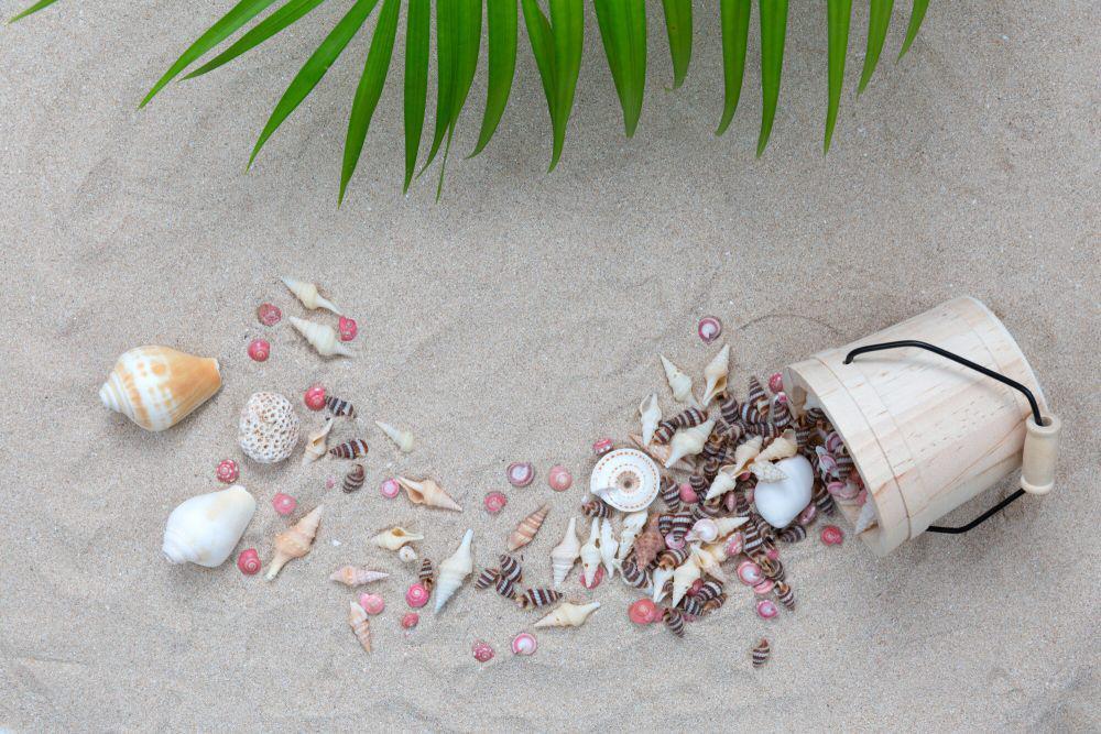 ilustrasi kerang dan pasir pantai (freepik.com/jcomp)