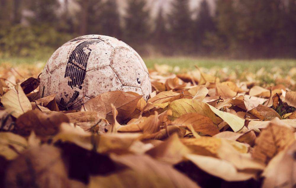ilustrasi lapangan sepak bola (pixabay.com/danielkirsch)