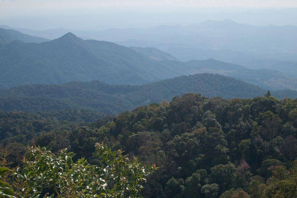 Potret Doi Inthanon (commons.wikimedia.org/Vyacheslav Argenberg)