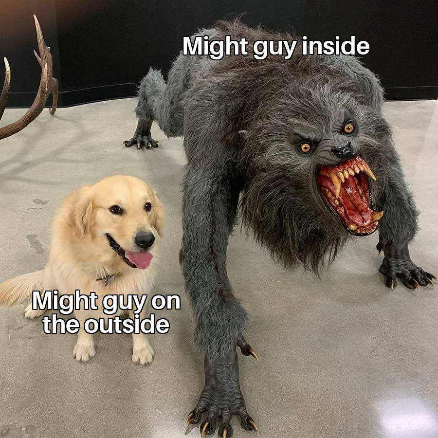 meme Might Guy (reddit.com/user/Sannan_Shah)