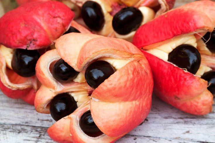 5 Makanan Paling Berbahaya di Dunia yang Masih Dikonsumsi