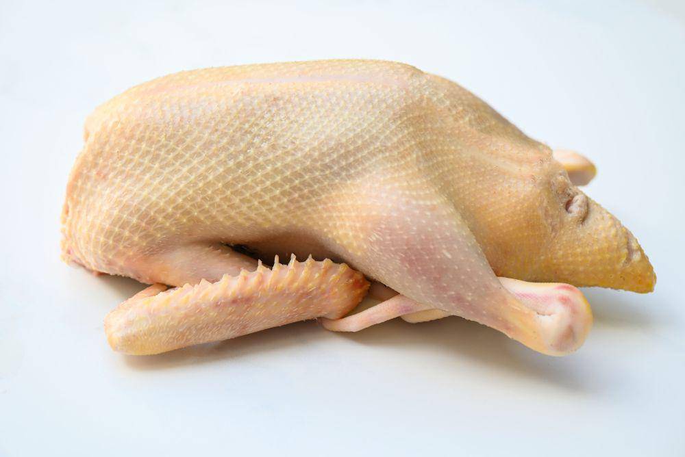 ilustrasi daging bebek (vecteezy.com/Bigc Studio)