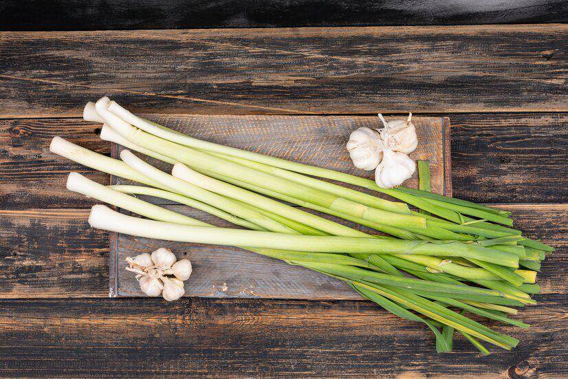 Ilustrasi daun bawang (freepik.com/8photo)