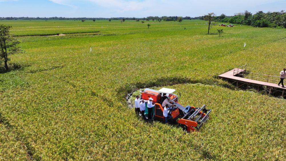 Eksponen Gerakan Mahasiswa 1998, Haris Rusly Moti menilai Presiden Prabowo Subianto berhasil membuktikan komitmennya dalam membangun kemandirian pangan di Indonesia. (Dok. Bulog)