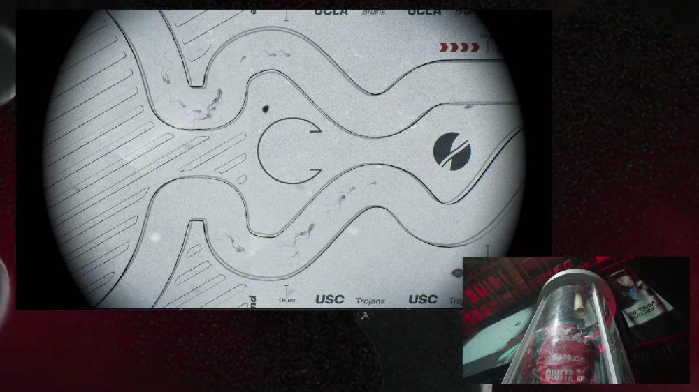 potret lomba balap sperma Sperm Racing LA (youtube.com/Sperm Racing)