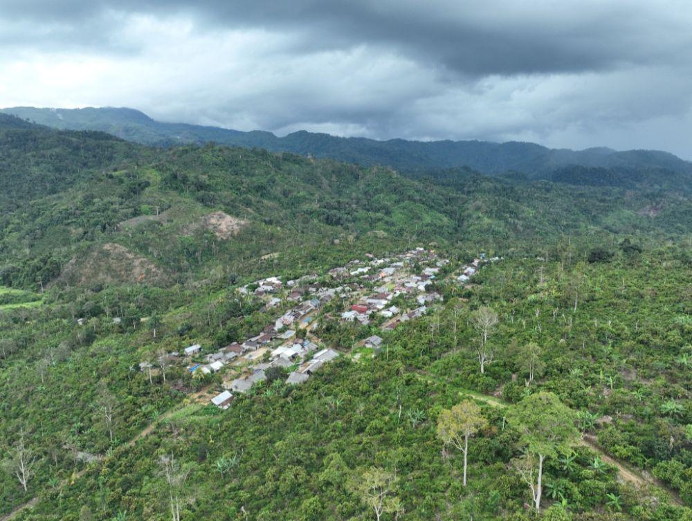 TNI-Polri Dukung Penuh Penertiban Perambahan Hutan Kawasan TNBBS