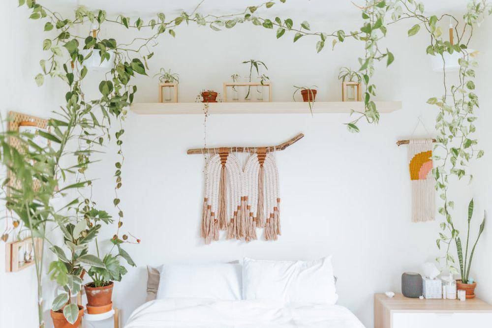 ilustrasi cara menata tanaman hias di kamar tidur (pexels.com/Cole Keister)