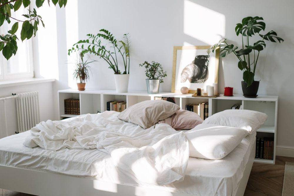 ilustrasi cara menata tanaman hias di kamar tidur (pexels.com/cottonbro studio)