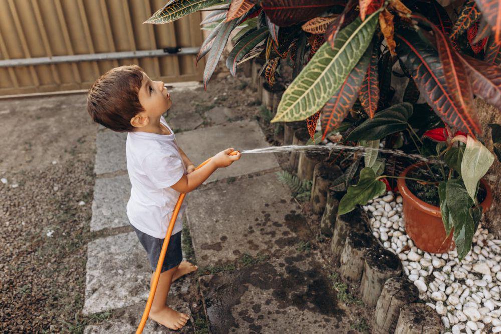 ilustrasi menyiram tanaman (pexels.com/Jonathan Borba)