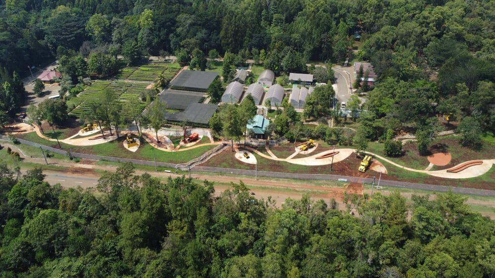 5 Inisiatif PT Vale Indoensia Menuju Net Zero Emission