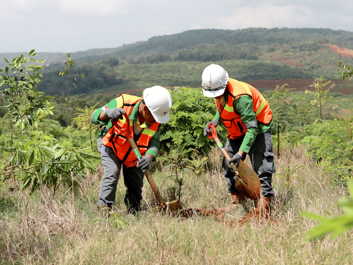potret reklamasi lahan pascatambang yang dilakukan oleh PT Vale (vale.com)