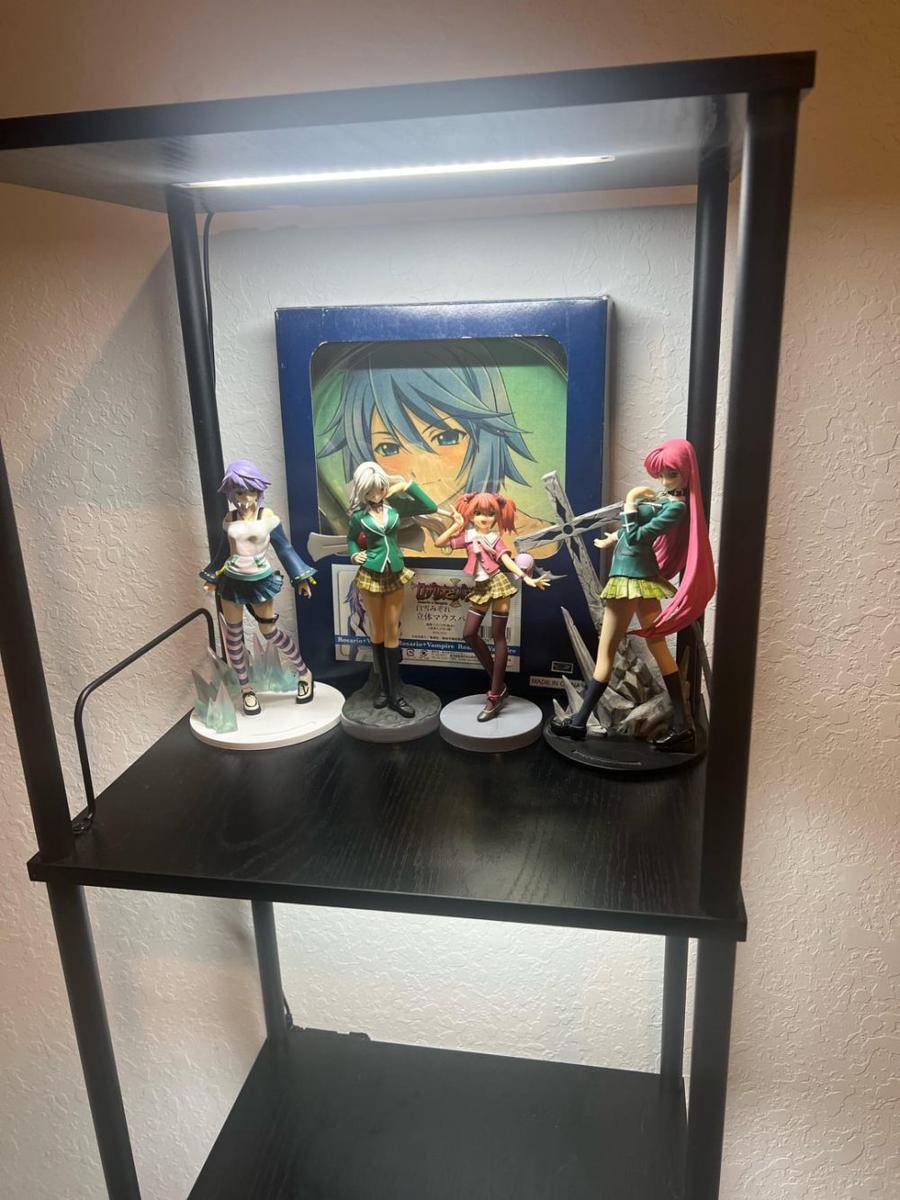 potret koleksi Rosario + Vampire (reddit.com/user/Asleep-Classroom2014)
