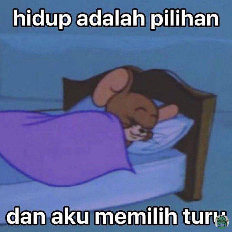 meme secinta itu sama tidur (x.com/tanyarlfes)
