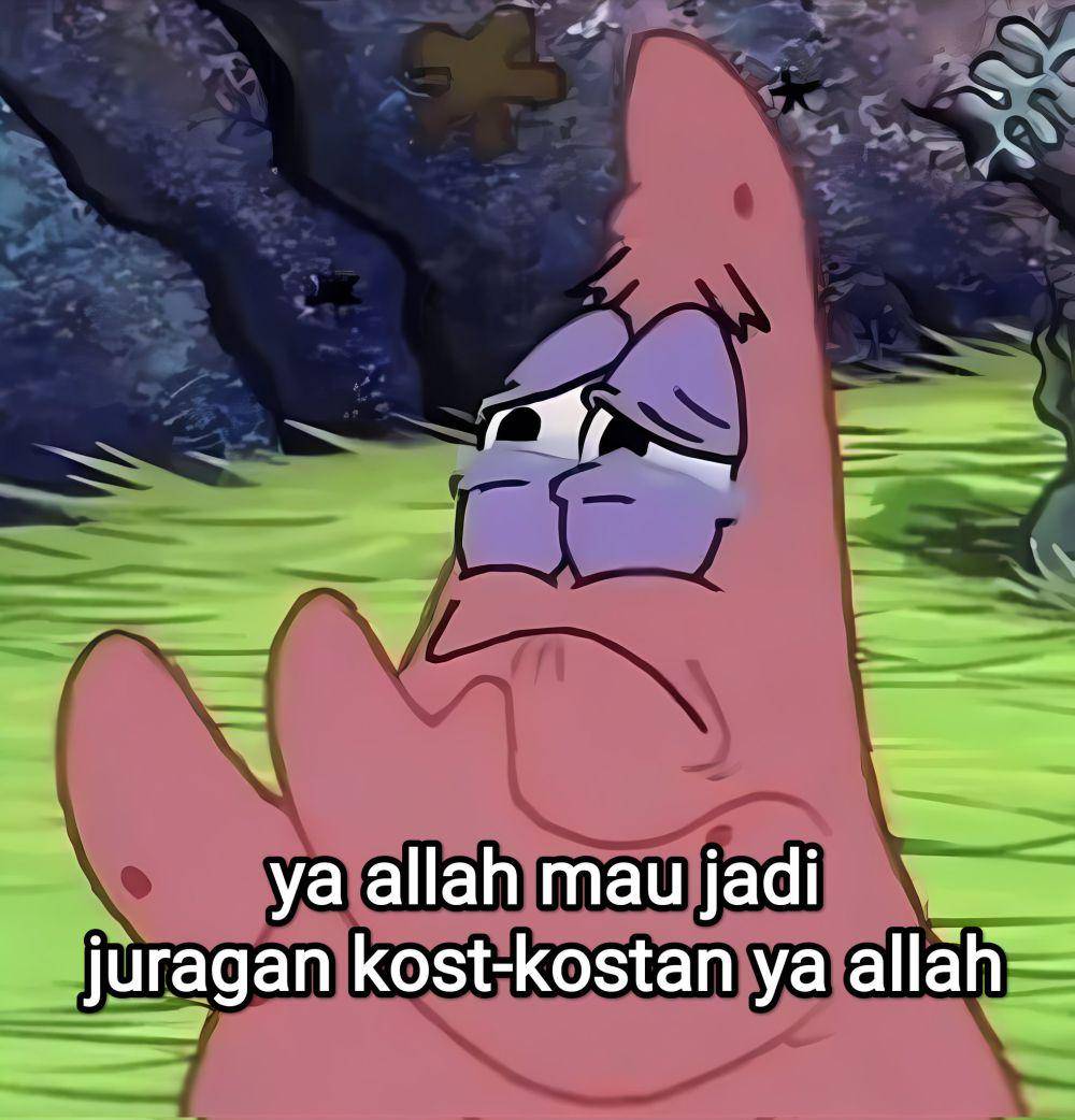 meme pengen jadi juragan kos-kosan (x.com/halupulisi)