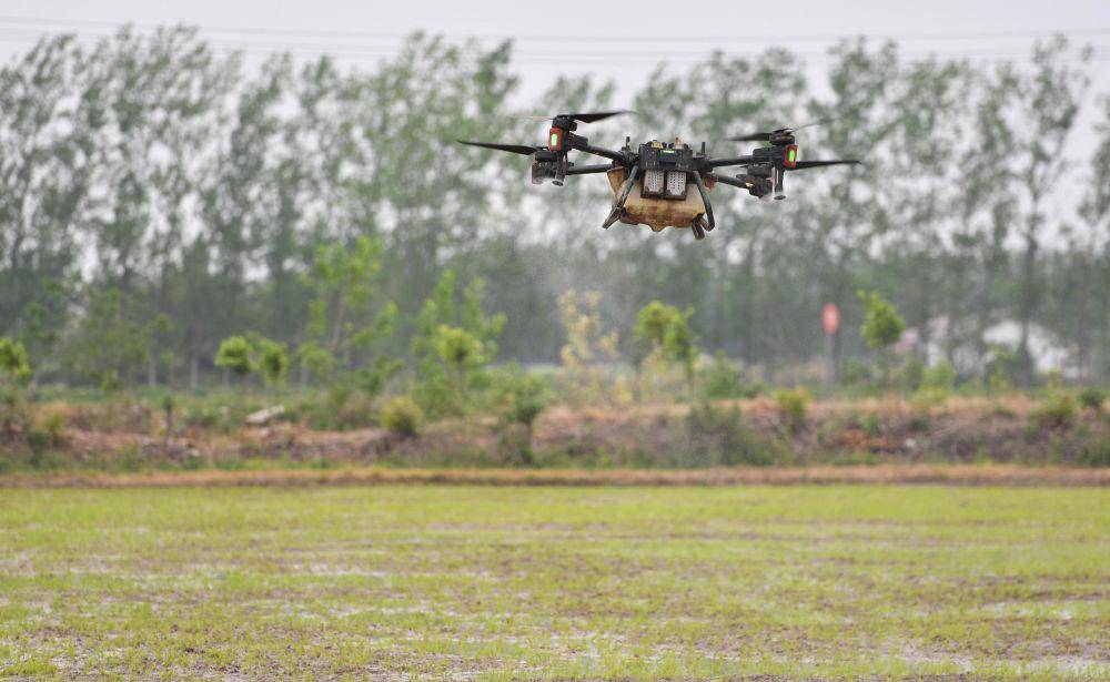 Drone sedang menyemprotkan herbisida di ladang (dok. Xinhua)