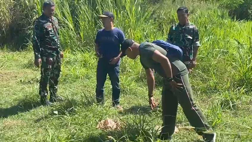 Anjing Liar Teror Gontor Ponorogo, 3 Kambing Dimangsa