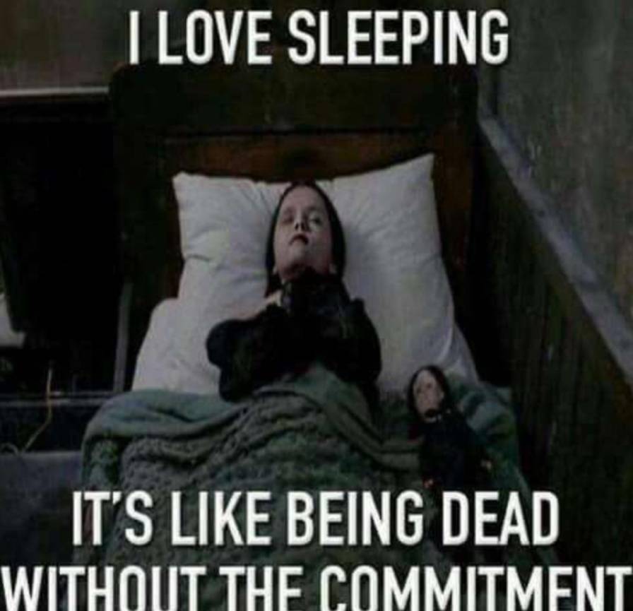 meme secinta itu sama tidur (reddit.com/tanyarlfes)