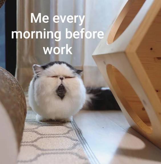 meme kucing tentang hal yang dirasain pas pagi hari (reddit.com/Lemuria_666)