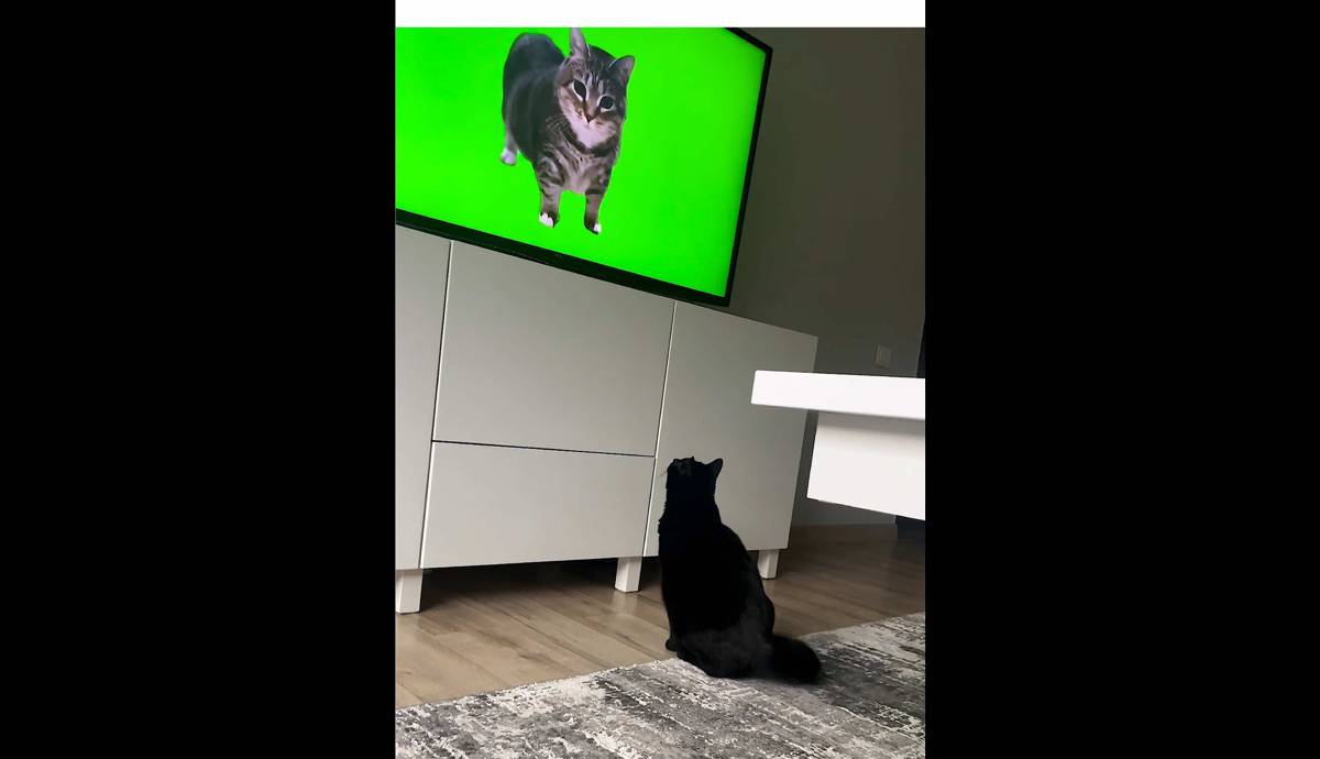 Untitled.png