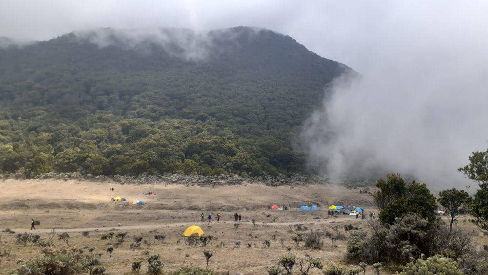 Surya Kencana Gunung Gede (dokumen pribadi)