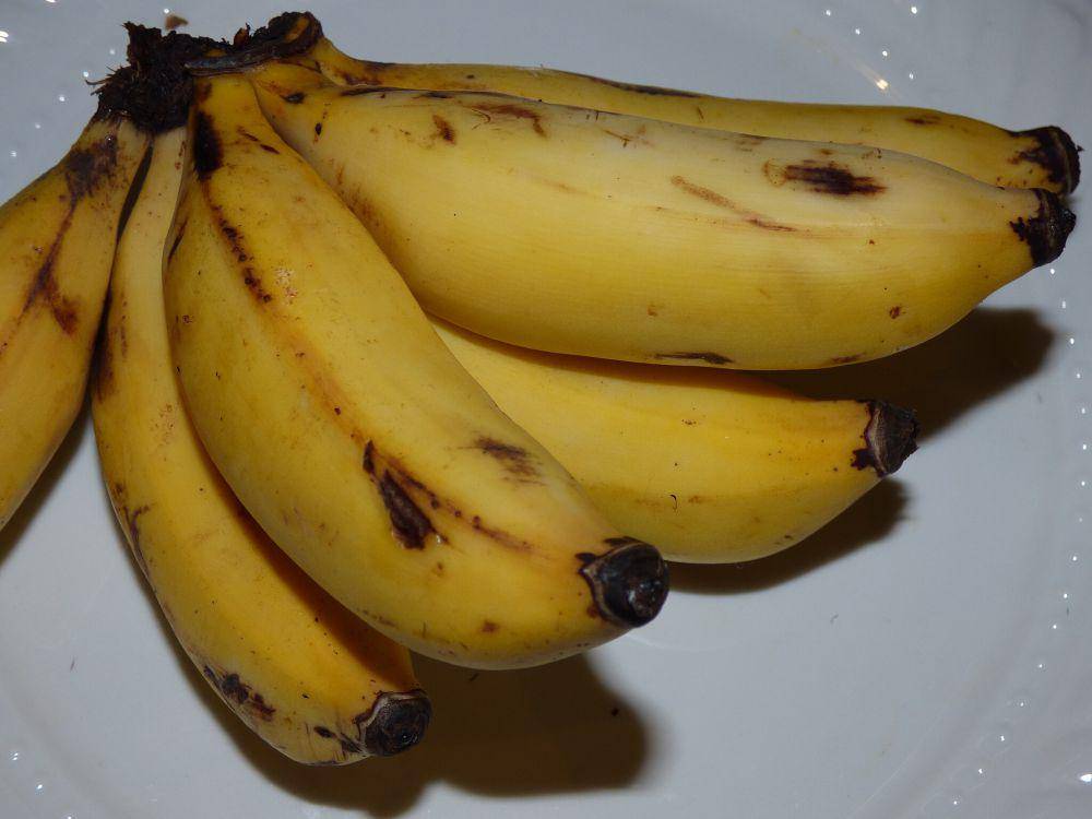 ilustrasi pisang Manzano (commons.wikimedia.org/Forest & Kim Starr)