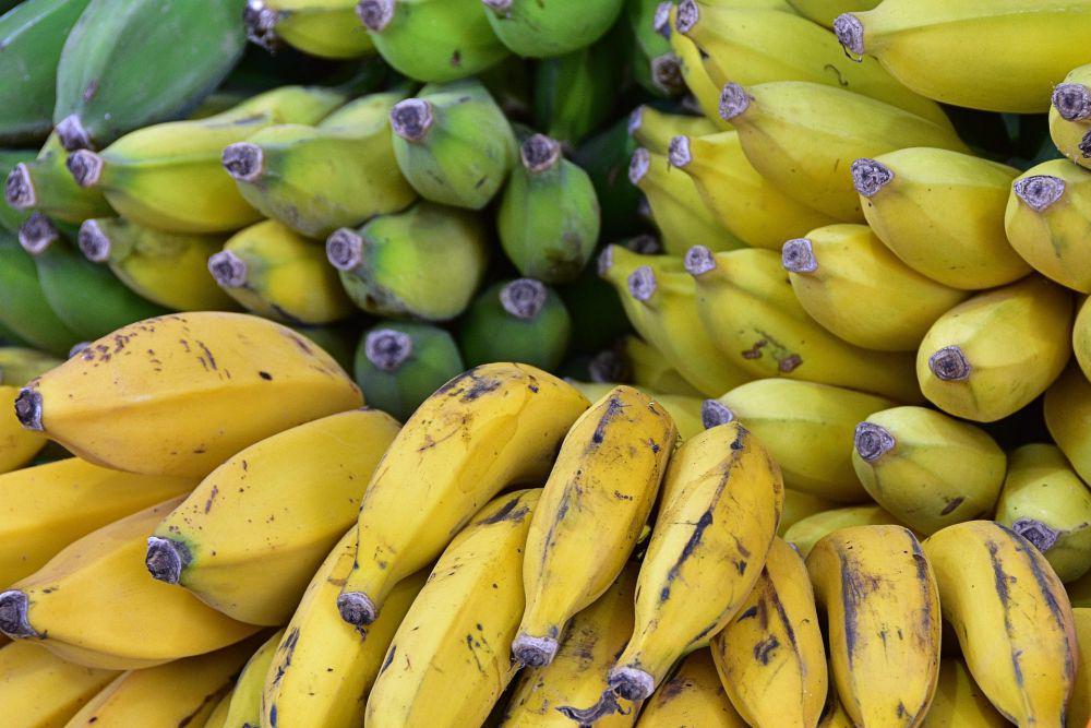 12 Jenis Pisang Terbaik di Dunia Versi TasteAtlas, Ada Indonesia!
