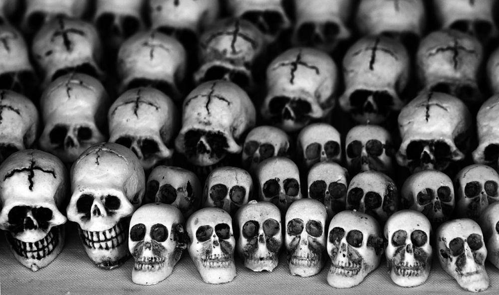 Calaveras Skull (commons.wikimedia.org/Tomas Castelazo)