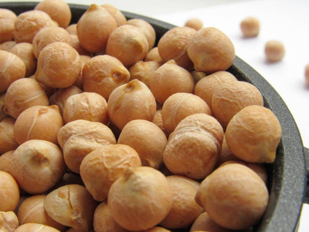 Ilustrasi kacang arab kering berwarna krem, bahan pangan yang umum digunakan dalam berbagai hidangan.