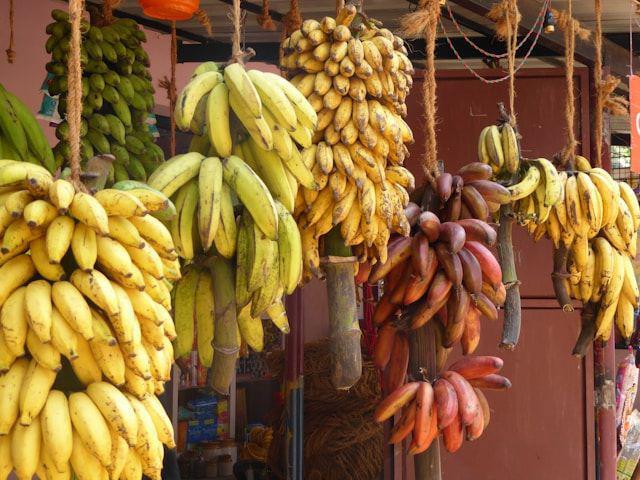 [QUIZ] Dari Jenis Pisang Favoritmu, Kamu Cocoknya Menyantap Menu Ini