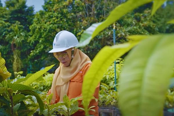 3 Langkah Konkret PT Vale Indonesia Menuju Net Zero Emission
