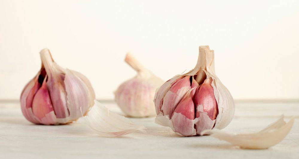 ilustrasi bawang putih (unsplash.com/@asthetik)