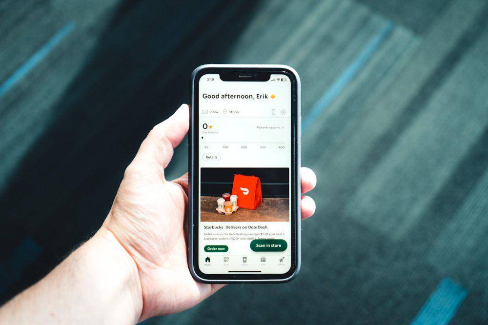 ilustrasi subscription (pexels.com/Erik Mclean)