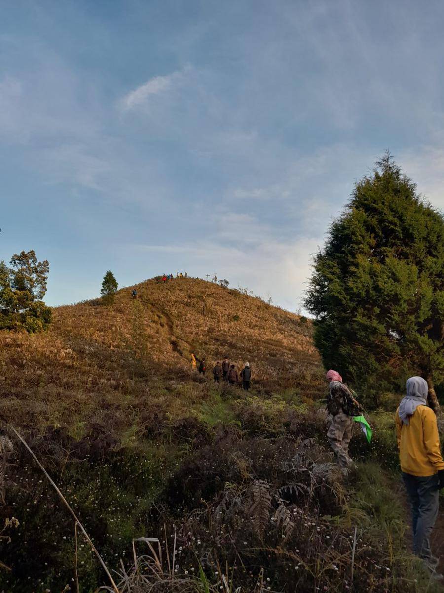 Gunung Prau (dokumen pribadi)