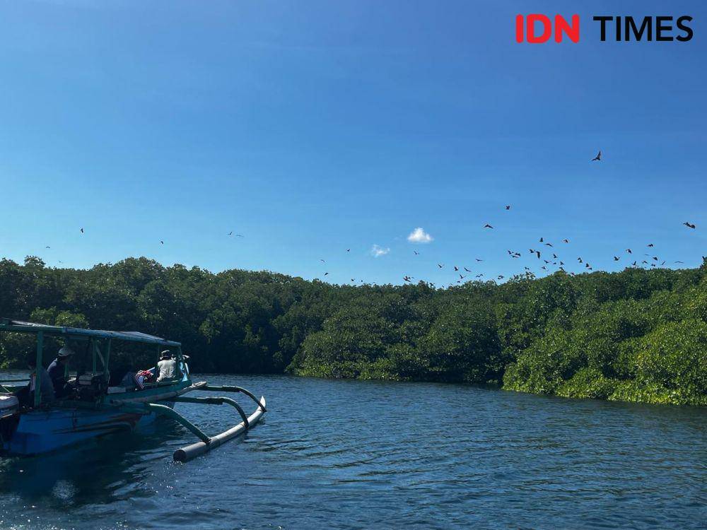 Pemandangan alami yang menyegarkan mata di Pulau Kambing. (IDN Times/Linggauni)