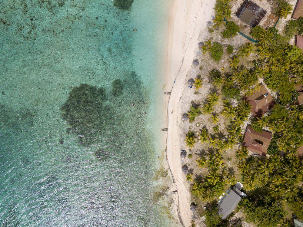 ilustrasi negara Fiji (pexels.com/Kammeran Gonzalez-Keola)