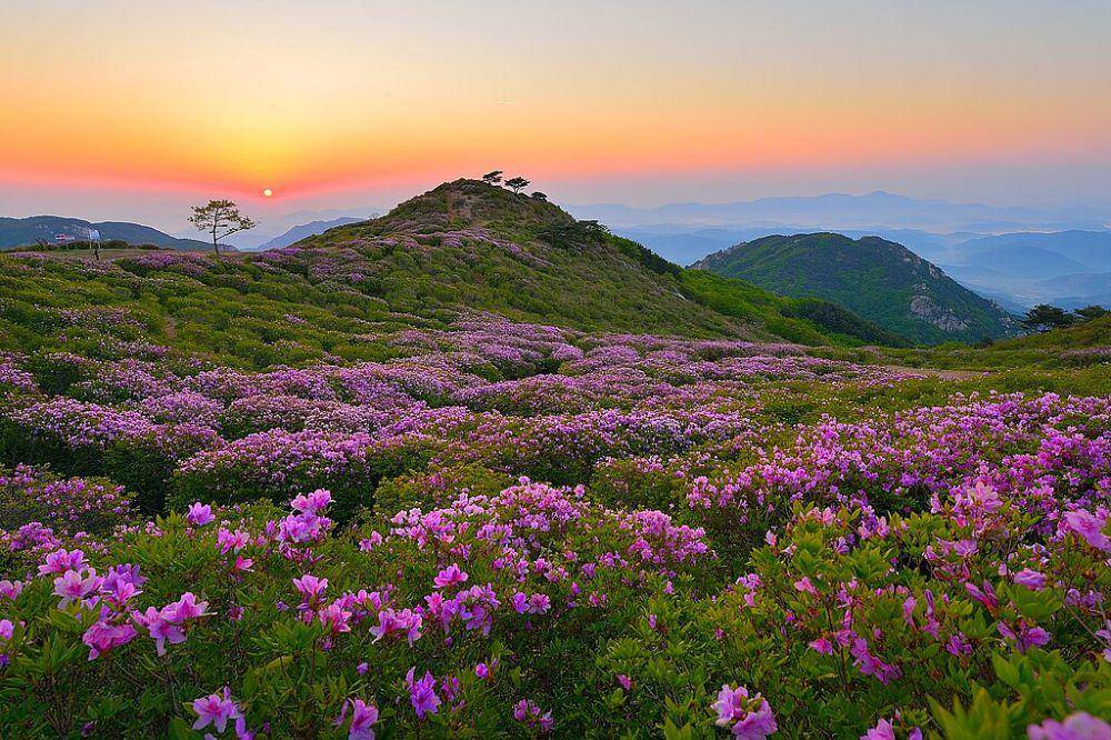 ilustrasi mendaki gunung Hwangmaesan (commons.wikimedia.org/Dae Wook Kim)
