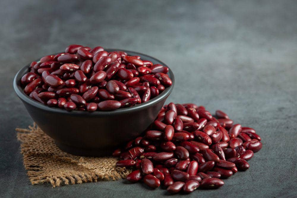 Ilustrasi kacang merah (freepik.com/jcomp)
