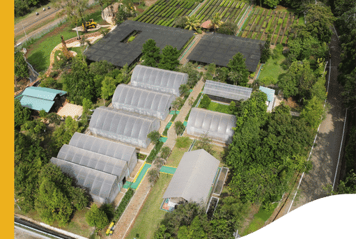 area pembibitan Taman Kehati Sawerigading Wallacea (Vale.com)