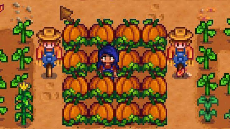 Cuplikan gambar bibit tanaman Pumpkin (dok.ConcernedApe/Stardew Valley)