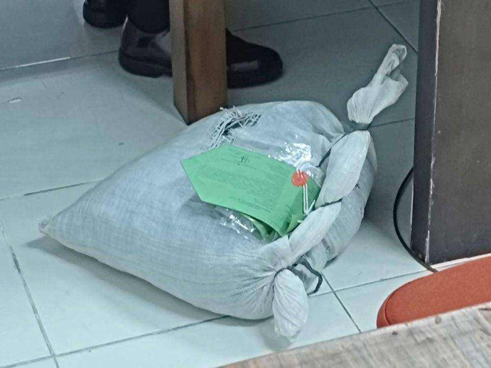 Barang bukti sisik trenggiling yang dibawa ke Pengadilan Militer Medan (Dok. IDN Times)
