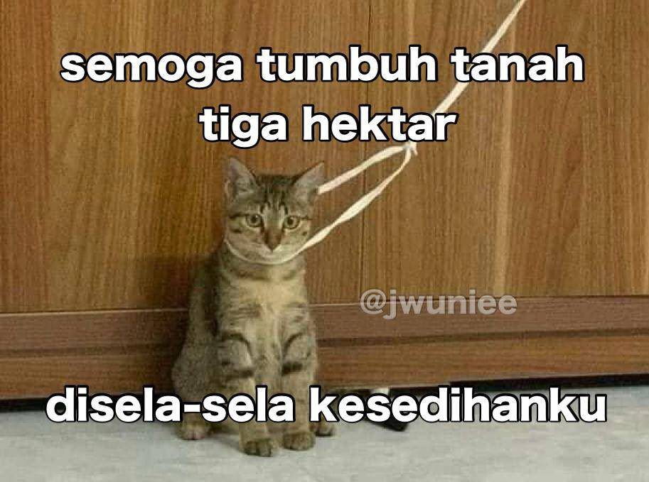 Meme harapan lucu ala orang dewasa (x.com/jwuniee)