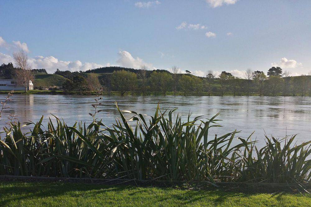 Sungai Waikato (commons.wikimedia/Misaochaaan)