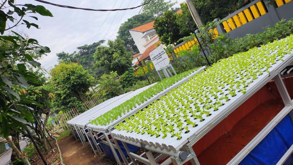 Hadapi Ketahanan Pangan, Telkom dan Tel-U Kembangkan Program Innovillage
