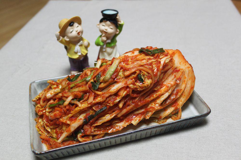 ilustrasi kimchi (pixabay.com/xzone95)