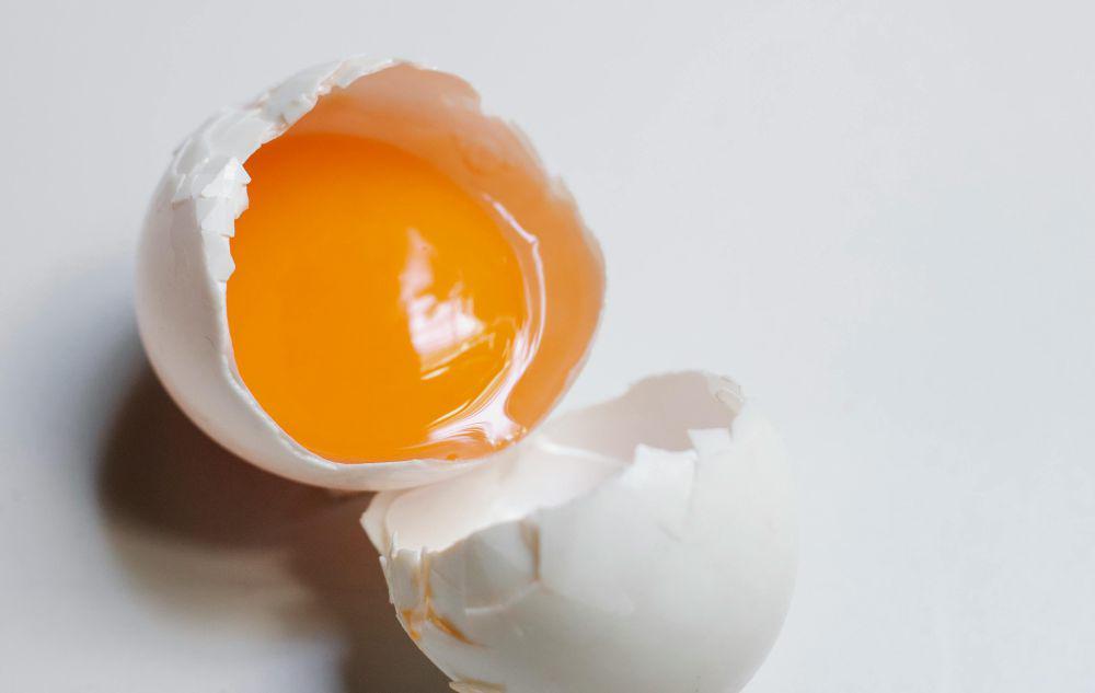 ilustrasi telur ayam (pexels.com/Klaus Nielsen)