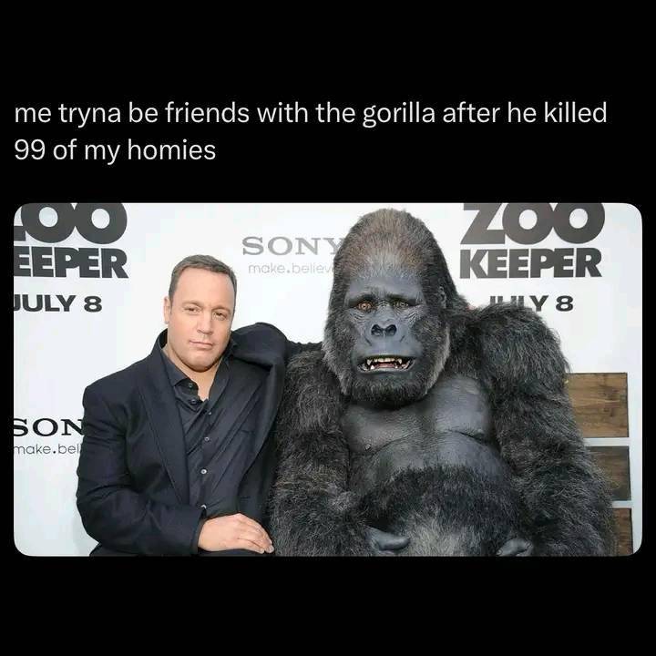 Meme momen ketika pria berteman dengan gorila