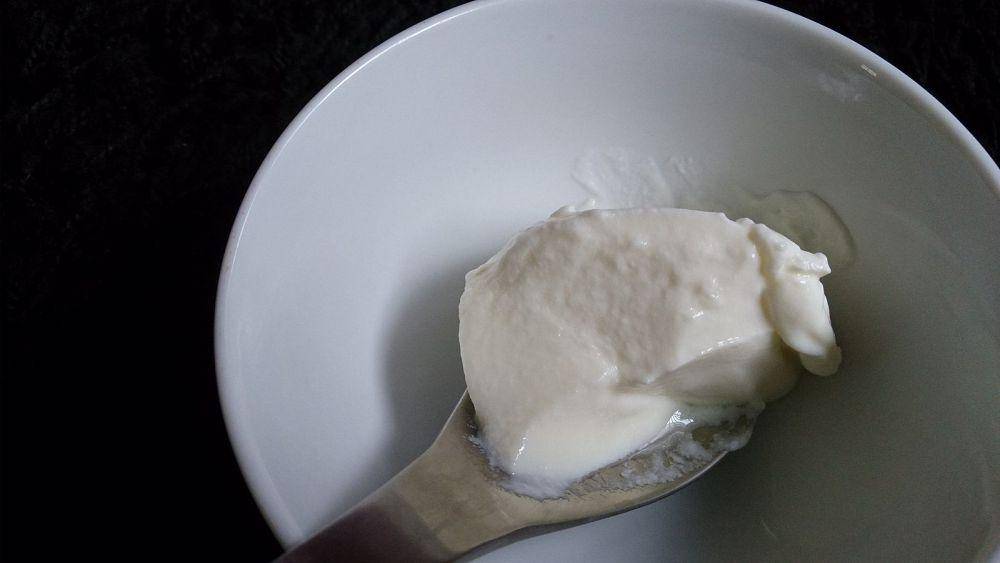 ilustrasi yogurt (commons.wikimedia.org/ProjectManhhattan)